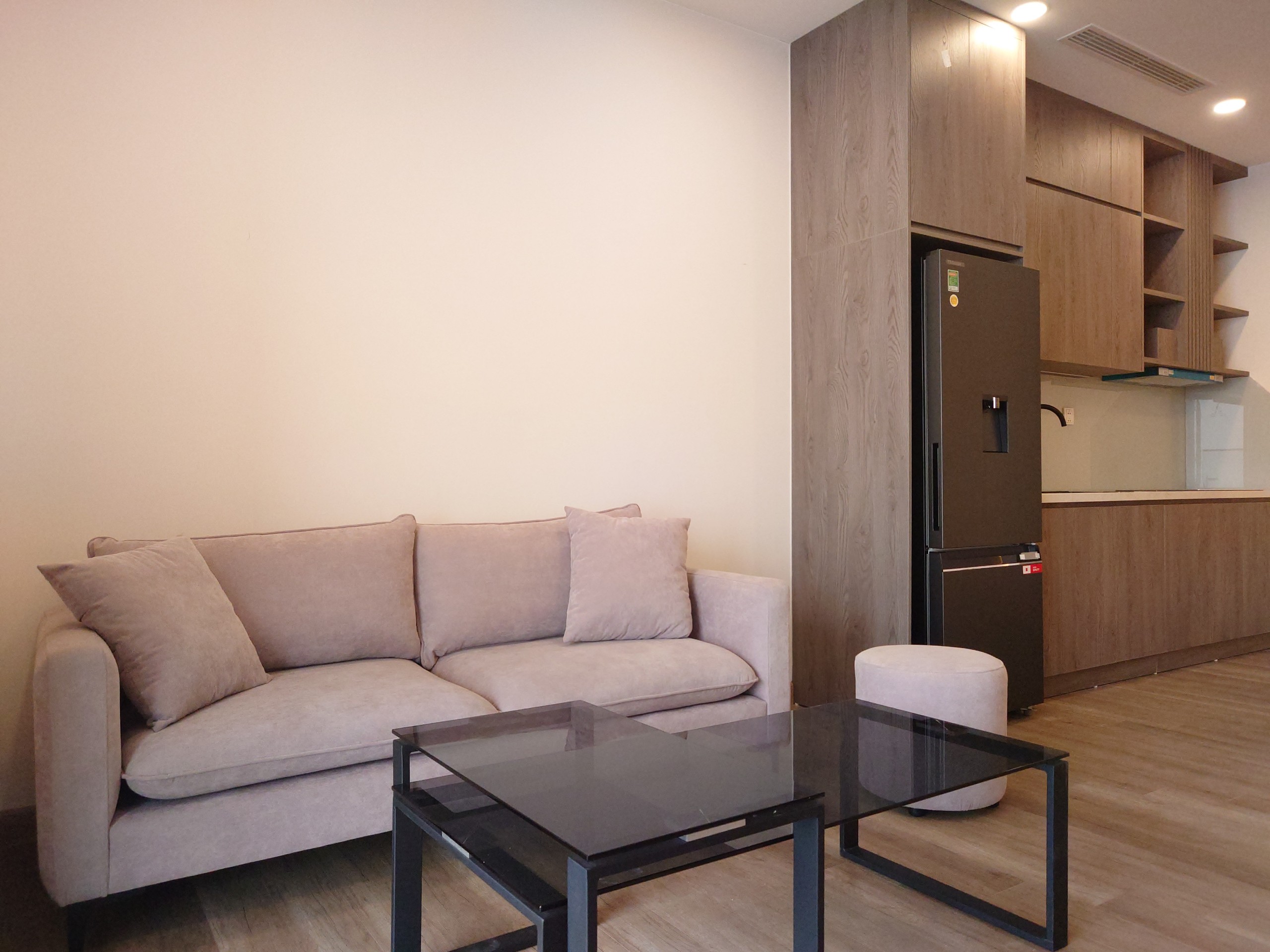 Brand new furnished 2 bedrooms apartment in SO2 building 1