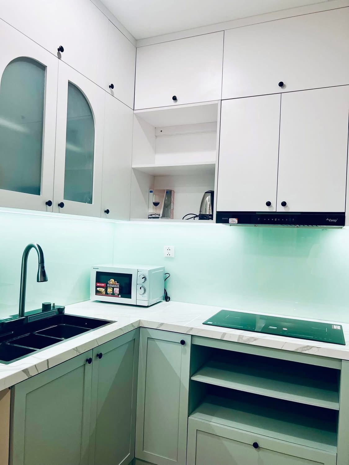 Furnished apartment for rent in Haven Park Ecopark 2 bedrooms 4
