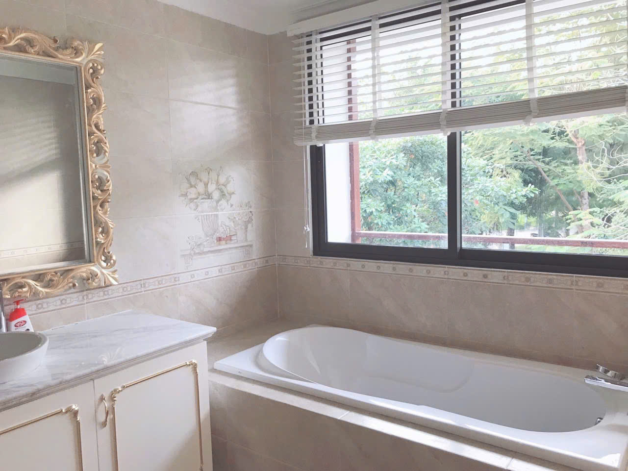 Parkriver furnished villa for rent 4 bedrooms fully furniture 10