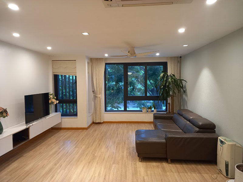 3 bedrooms shophouse in Thuy Nguyen with furnished