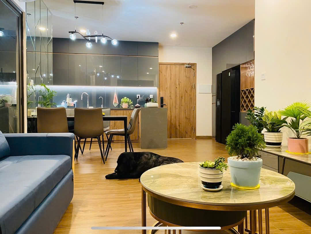 Sky oasis S1 building 2 bedrooms fully furnished apartment for rent
