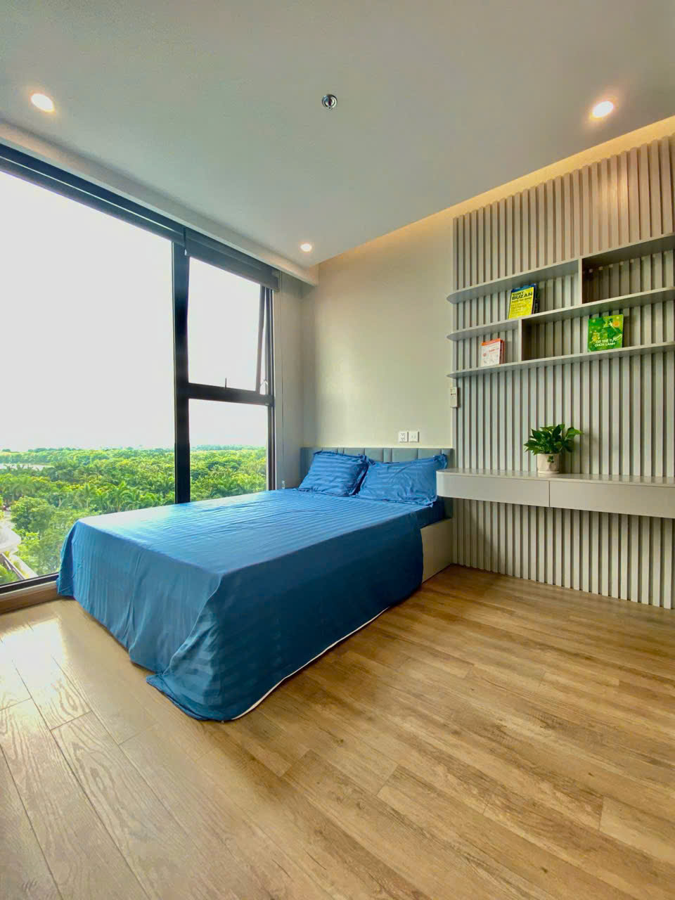 Wonderfull 3 bedrooms apartment in Onsen Ecopark 9